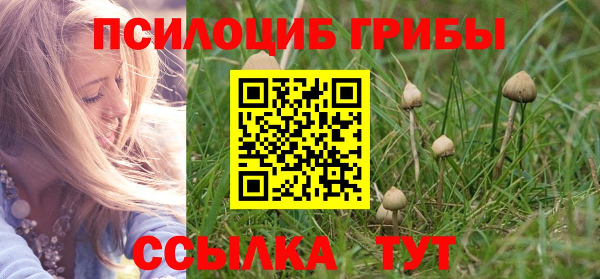 Псилоцибиновые грибы GOLDEN TEACHER  Вход с VPN  Галлюциногенные грибы ЛСД  Кубинка 